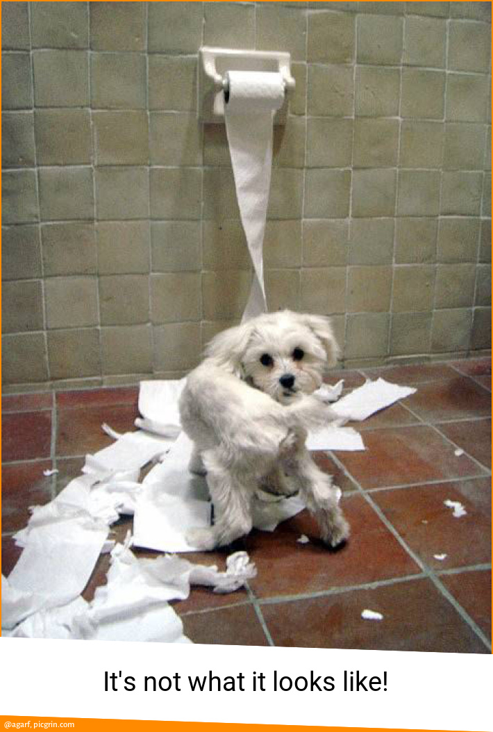 It's not what it looks like!