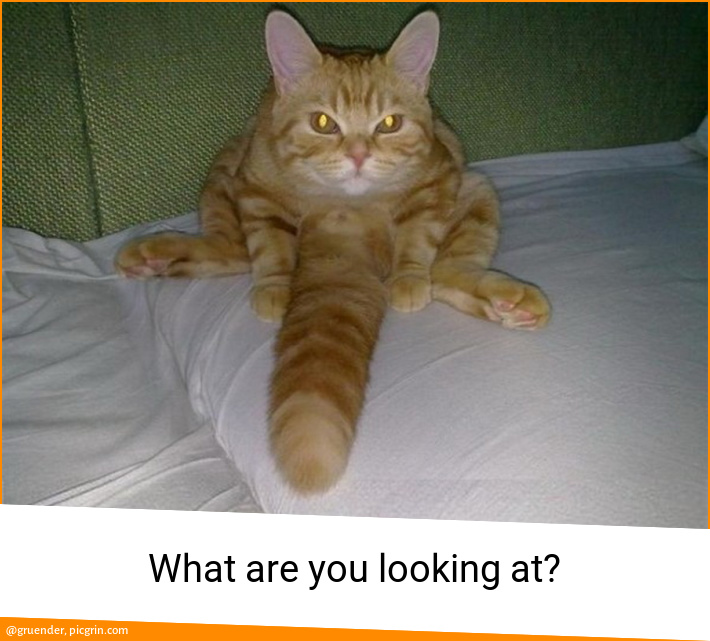 What are you looking at?