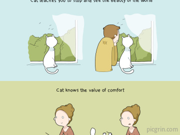 10 benefits of having a cat