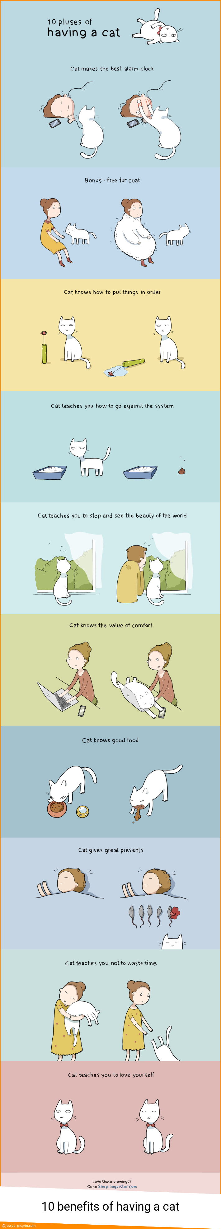 10 benefits of having a cat