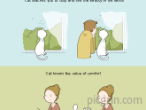 10 benefits of having a cat