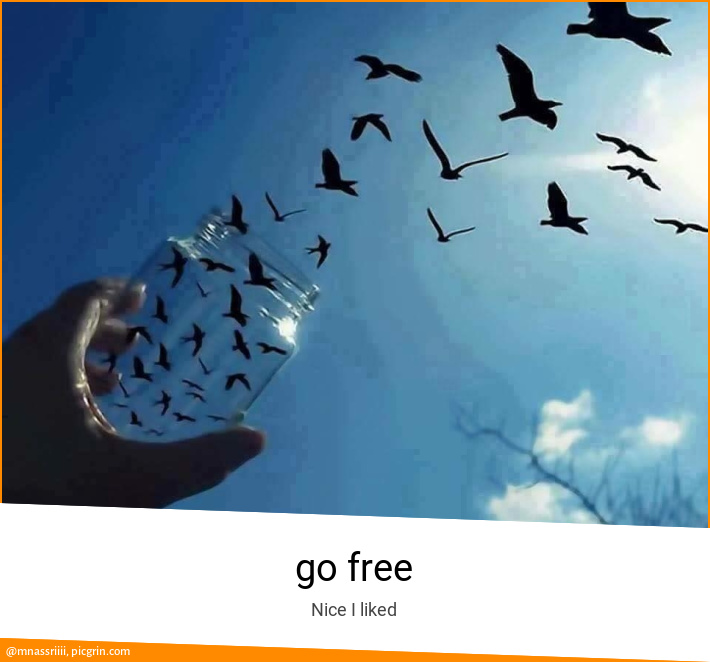 go free
