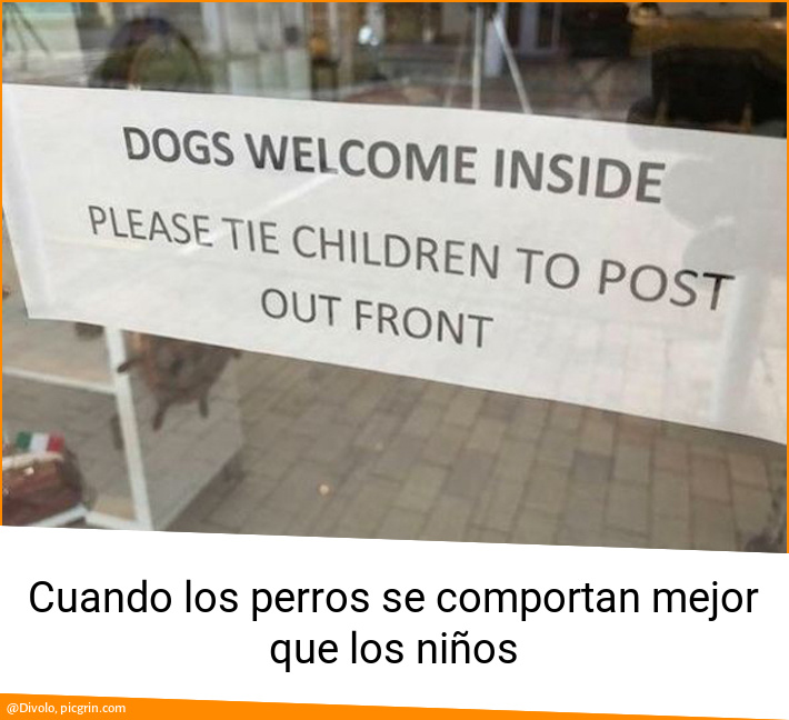 Cuando los perros se comportan mejor que los niños