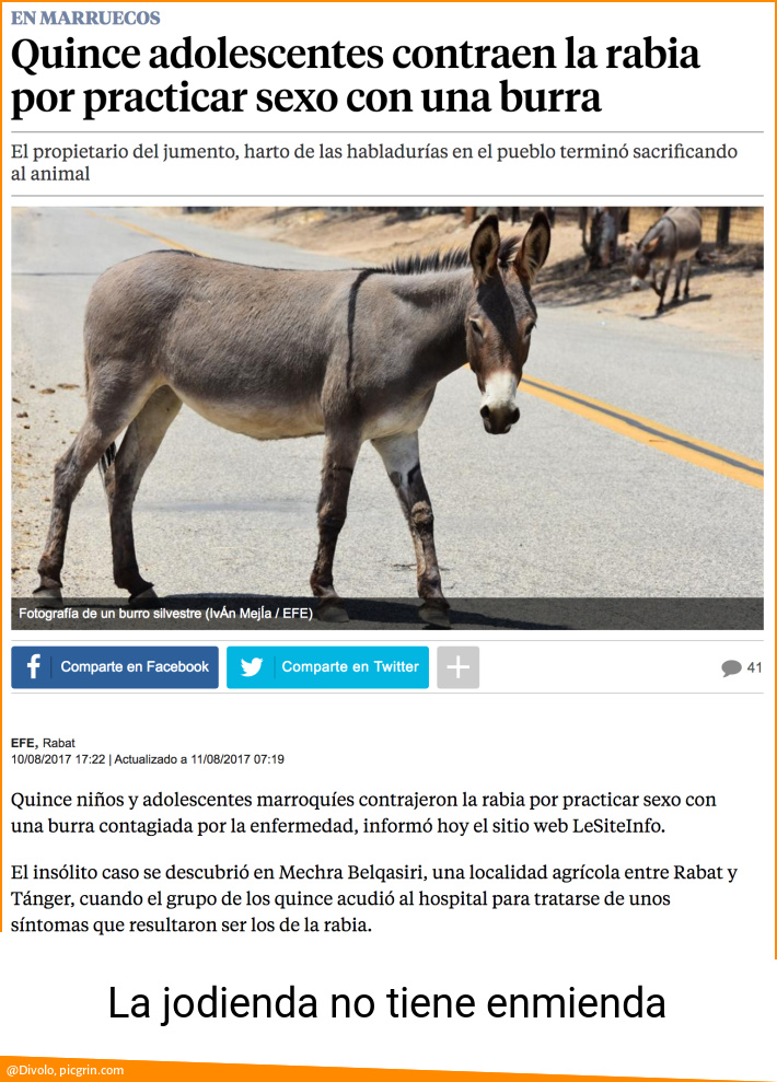 La jodienda no tiene enmienda