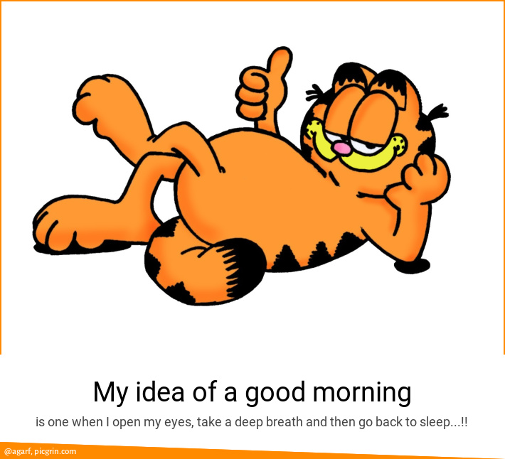 My idea of a good morning