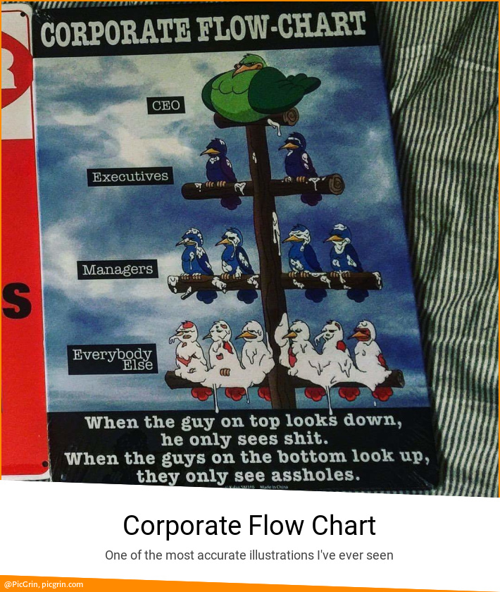 Corporate Flow Chart