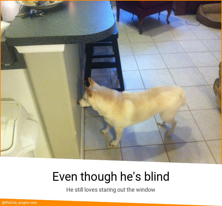 Even though he's blind