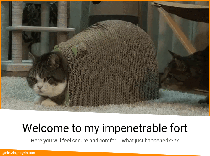 Welcome to my impenetrable fort