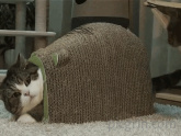 Welcome to my impenetrable fort
