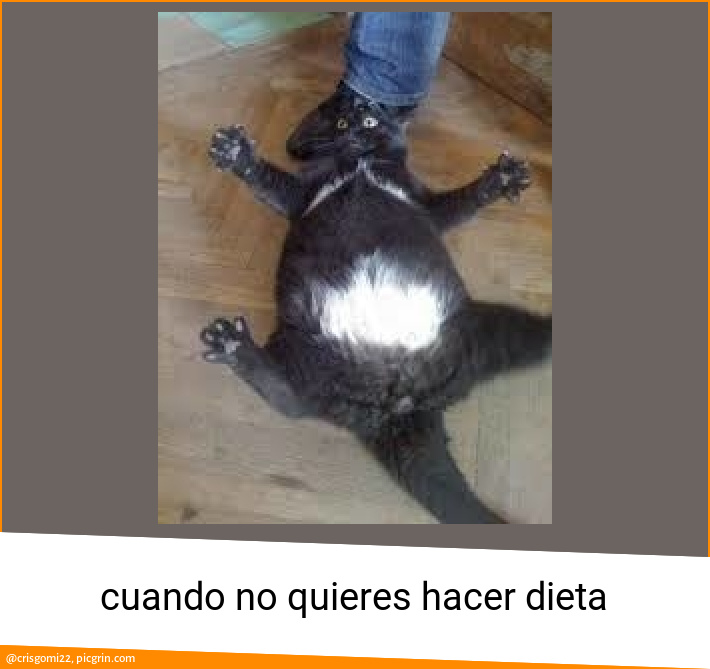 cuando no quieres hacer dieta