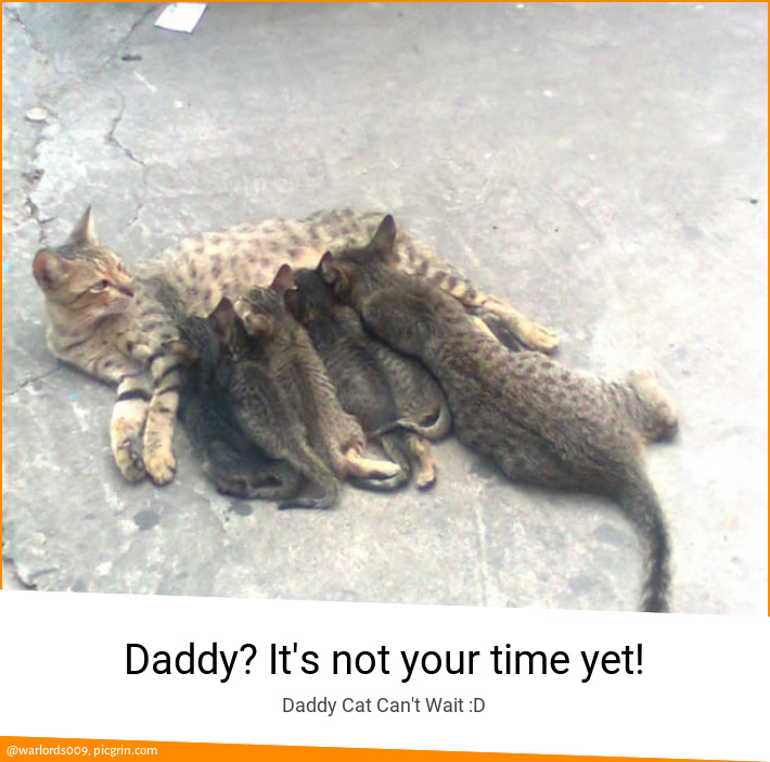 Daddy? It's not your time yet!