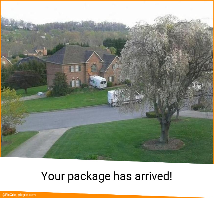 Your package has arrived!