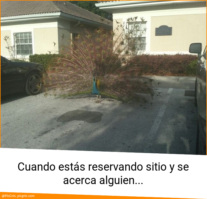 Cuando estás reservando sitio y se acerca alguien...