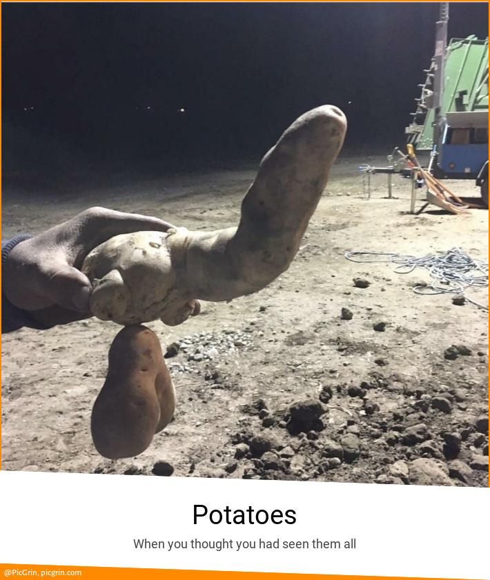 Potatoes