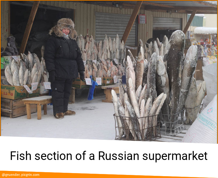 Fish section of a Russian supermarket