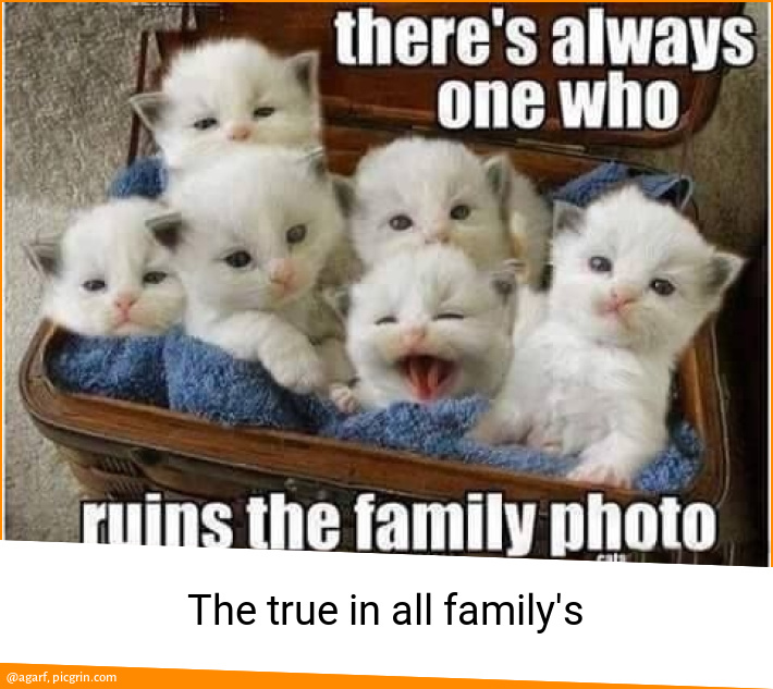 The true in all family's