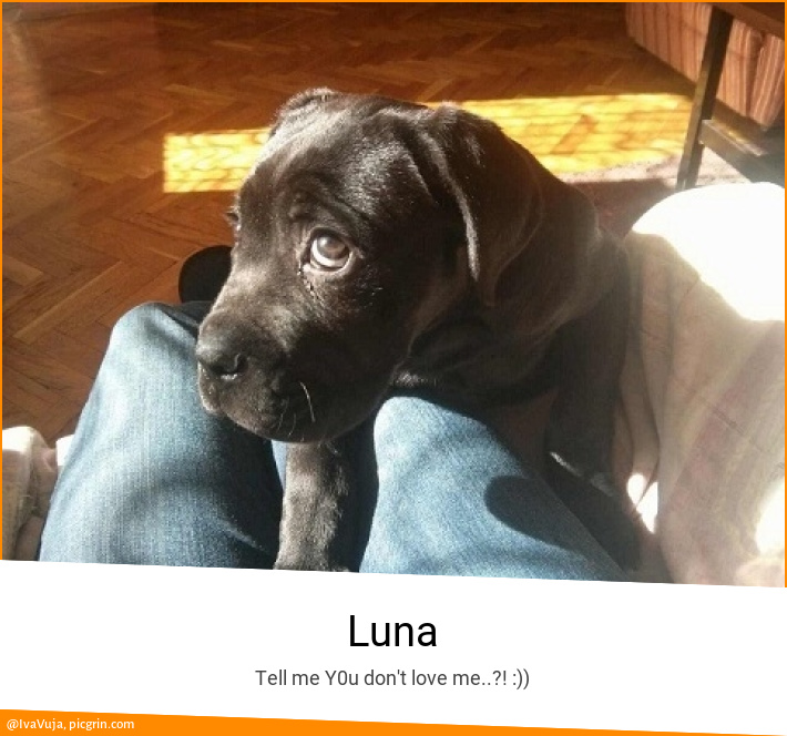 Luna