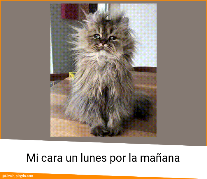 Mi Cara Un Lunes Por La Manana Picgrin