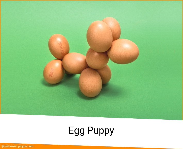 Egg Puppy