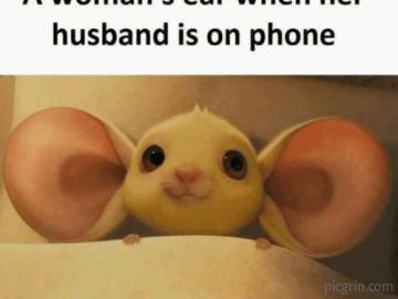A woman's ear when her husband is on phone