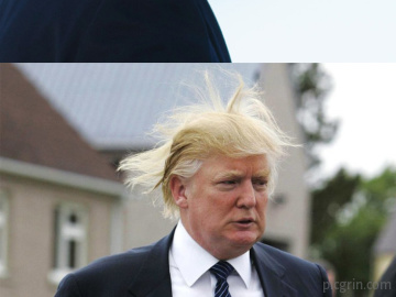 Donald Trump vs Viento