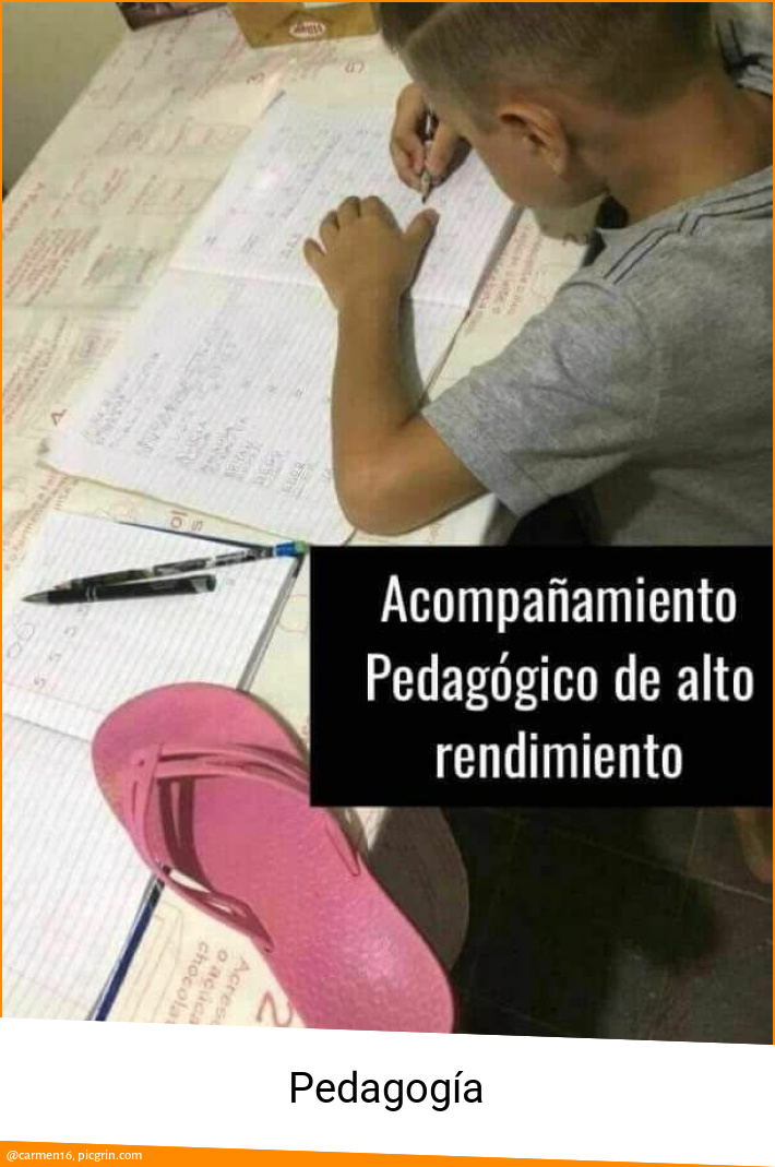 Pedagogía