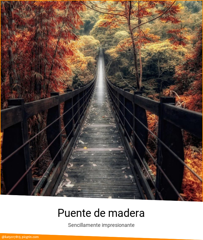 Puente de madera
