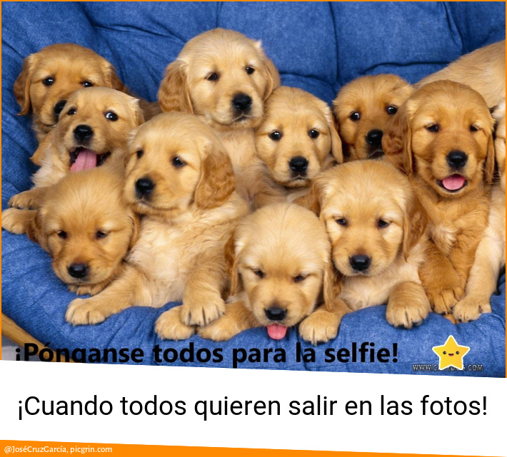 ¡Cuando todos quieren salir en las fotos!