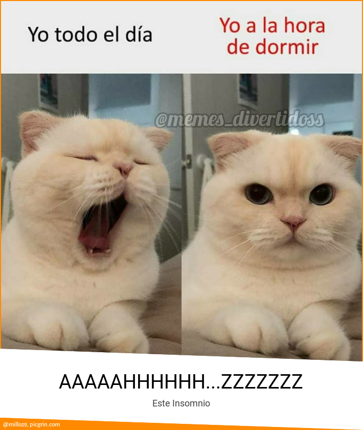 AAAAAHHHHHH...ZZZZZZZ