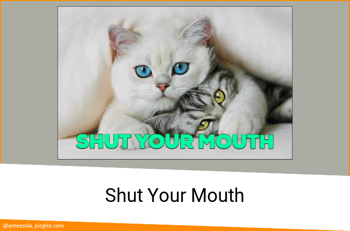 Shut Your Mouth