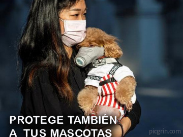 PROTEGE TAMBIÉN A TUS MASCOTAS