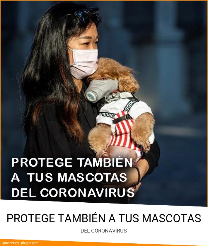 PROTEGE TAMBIÉN A TUS MASCOTAS