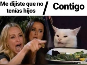 Me dijiste que no tenías hijos