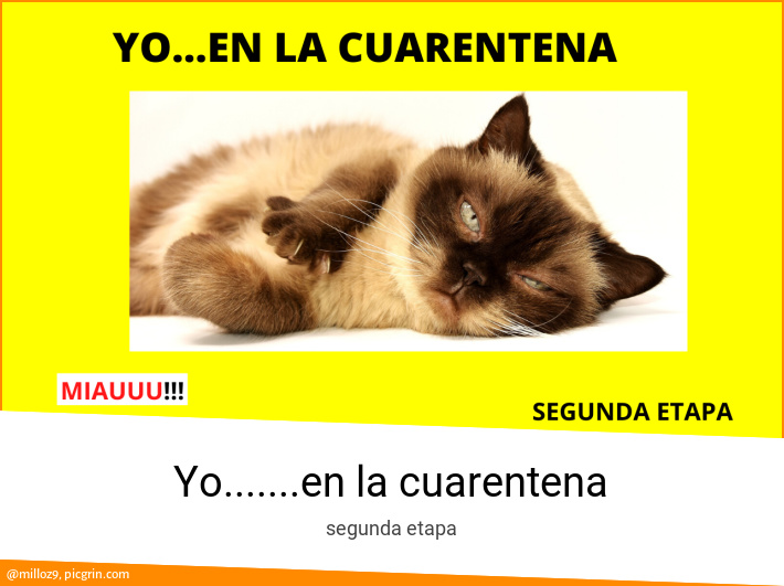 Yo.......en la cuarentena