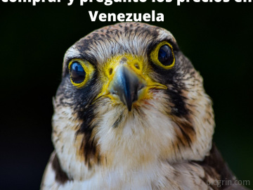 Compras en Venezuela