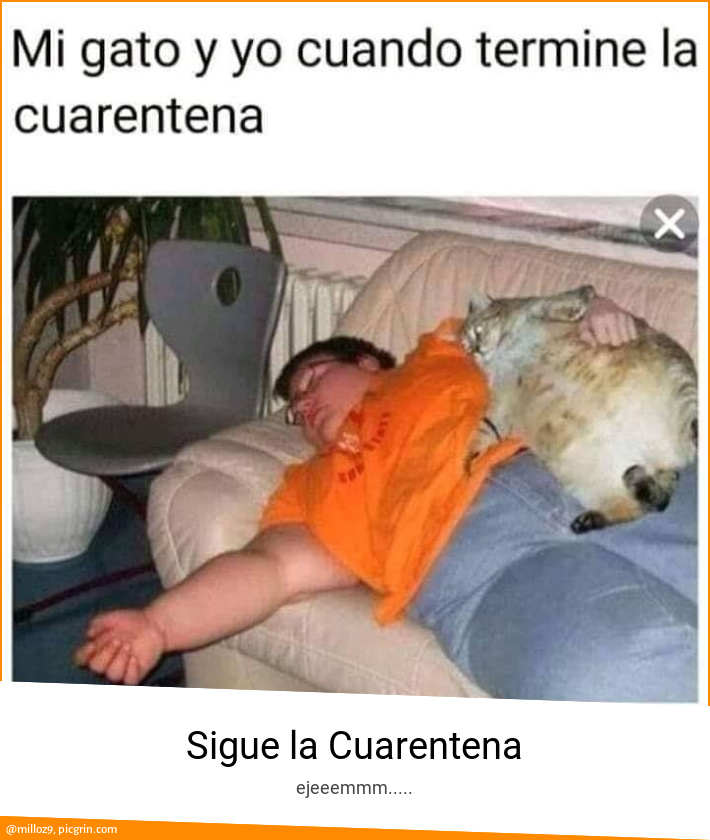 Sigue la Cuarentena