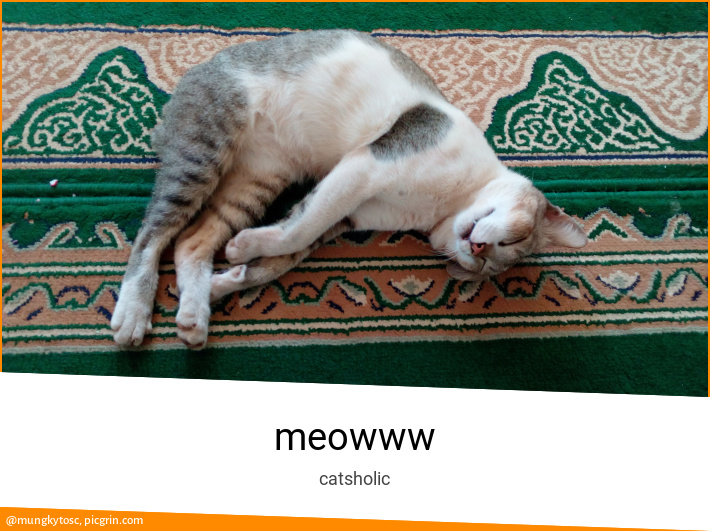 meowww